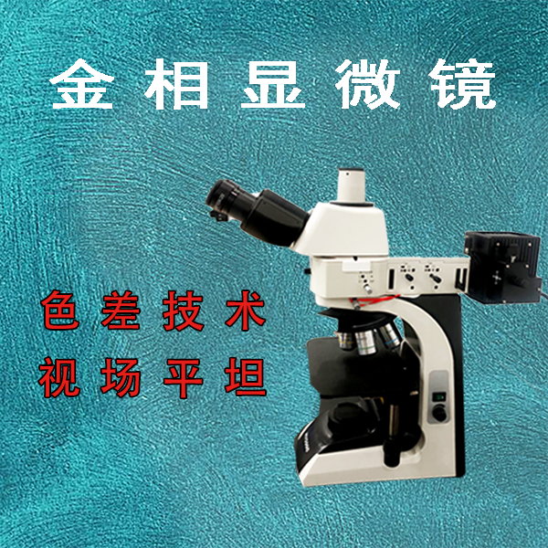 工业纯铁金相显微镜