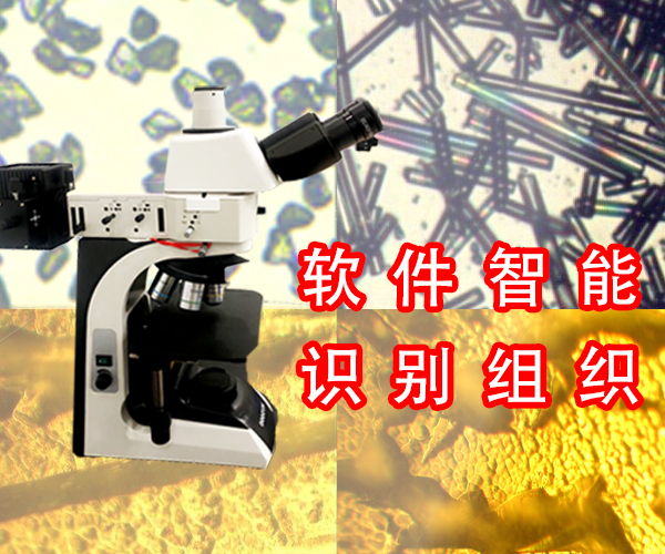 上海金相倒置显微镜